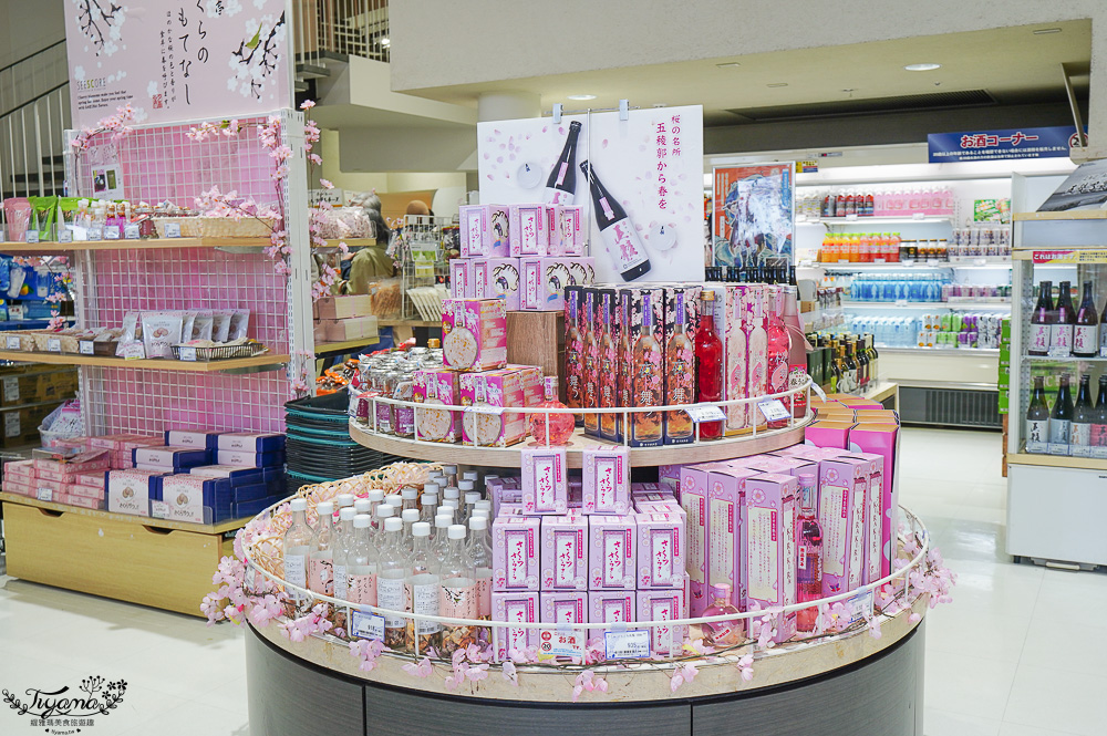 北海道函館景點｜北海道五稜郭塔，櫻花季五稜郭塔超級美，五稜郭塔門票｜五稜郭塔賞櫻 @緹雅瑪 美食旅遊趣