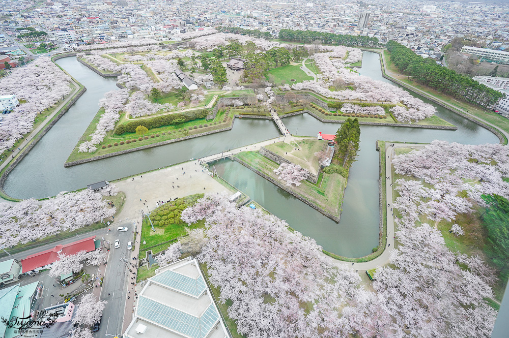 行軍版北海道函館一日遊！！函館朝市．函館元町教堂群散策．金森紅磚倉庫．五稜郭塔．五稜郭公園．六花亭．幸運小丑漢堡．成吉思汗大黑屋 @緹雅瑪 美食旅遊趣