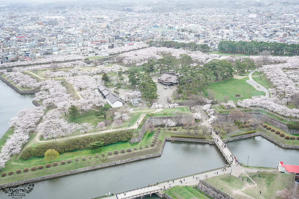 北海道函館景點｜北海道五稜郭塔，櫻花季五稜郭塔超級美，五稜郭塔門票｜五稜郭塔賞櫻 @緹雅瑪 美食旅遊趣