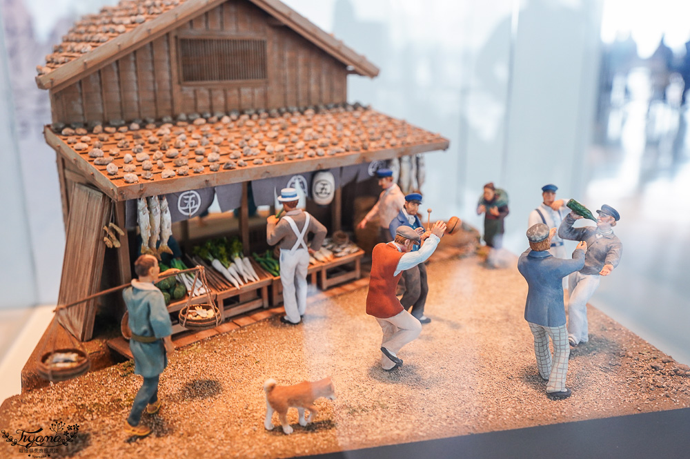 北海道函館景點｜北海道五稜郭塔，櫻花季五稜郭塔超級美，五稜郭塔門票｜五稜郭塔賞櫻 @緹雅瑪 美食旅遊趣