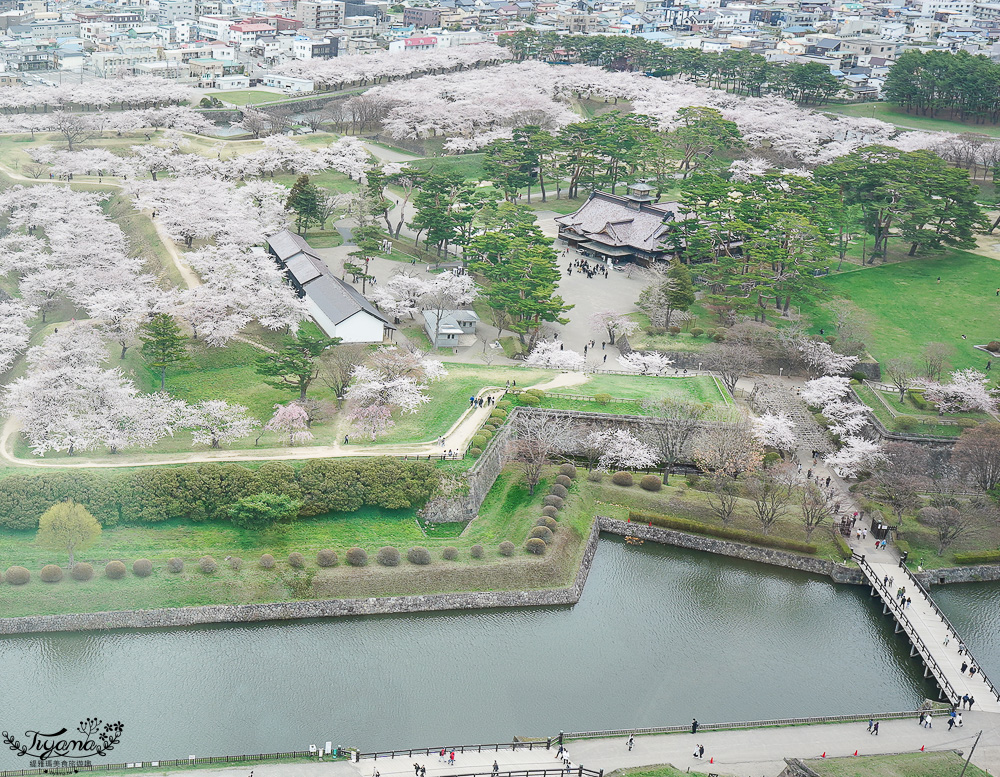 櫻花盛開的五稜郭公園，北海道函館人氣景點！！北海道賞櫻之旅~1500棵絕美櫻花林公園 @緹雅瑪 美食旅遊趣
