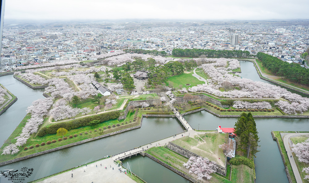 北海道函館景點｜北海道五稜郭塔，櫻花季五稜郭塔超級美，五稜郭塔門票｜五稜郭塔賞櫻 @緹雅瑪 美食旅遊趣