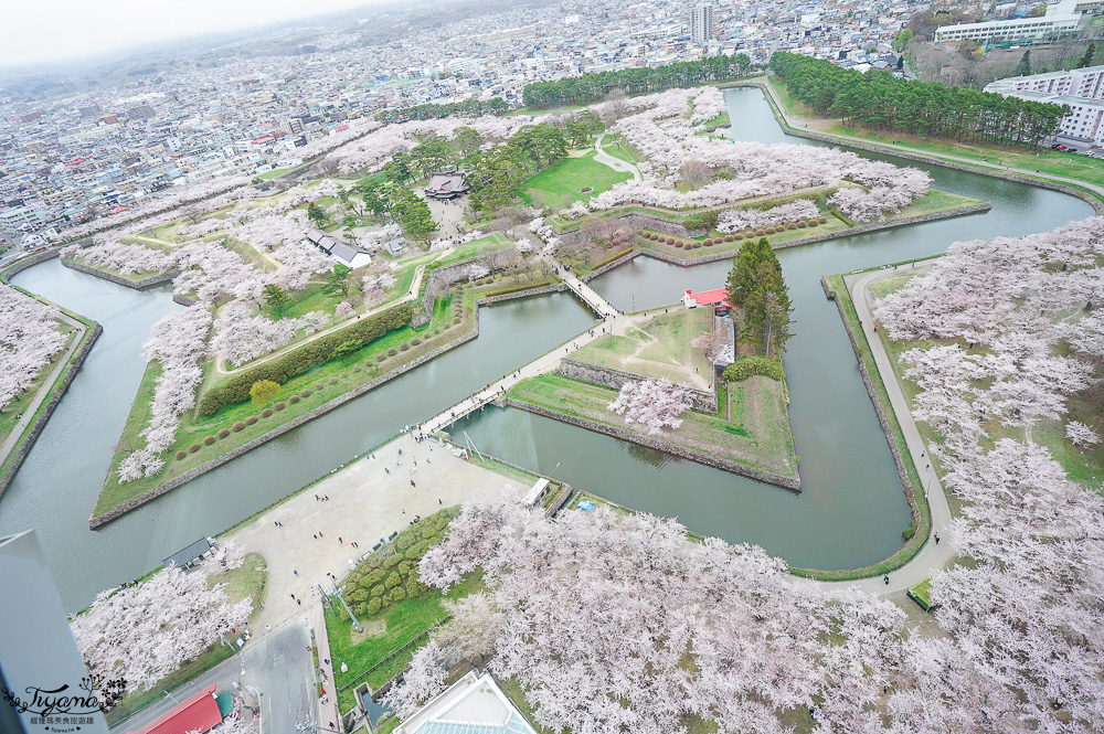 北海道函館景點｜北海道五稜郭塔，櫻花季五稜郭塔超級美，五稜郭塔門票｜五稜郭塔賞櫻 @緹雅瑪 美食旅遊趣