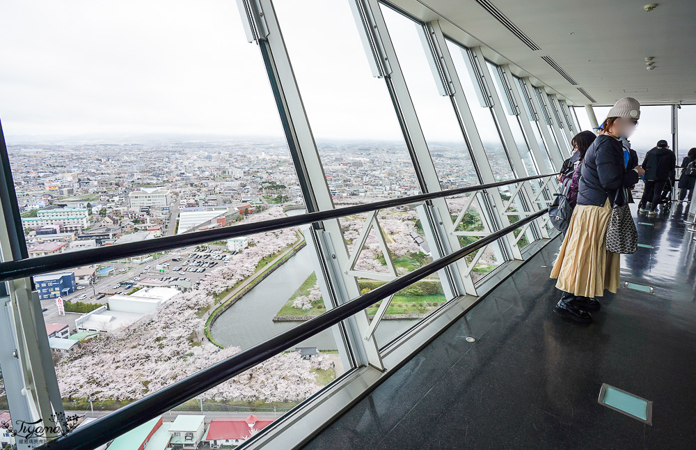 北海道函館景點｜北海道五稜郭塔，櫻花季五稜郭塔超級美，五稜郭塔門票｜五稜郭塔賞櫻 @緹雅瑪 美食旅遊趣
