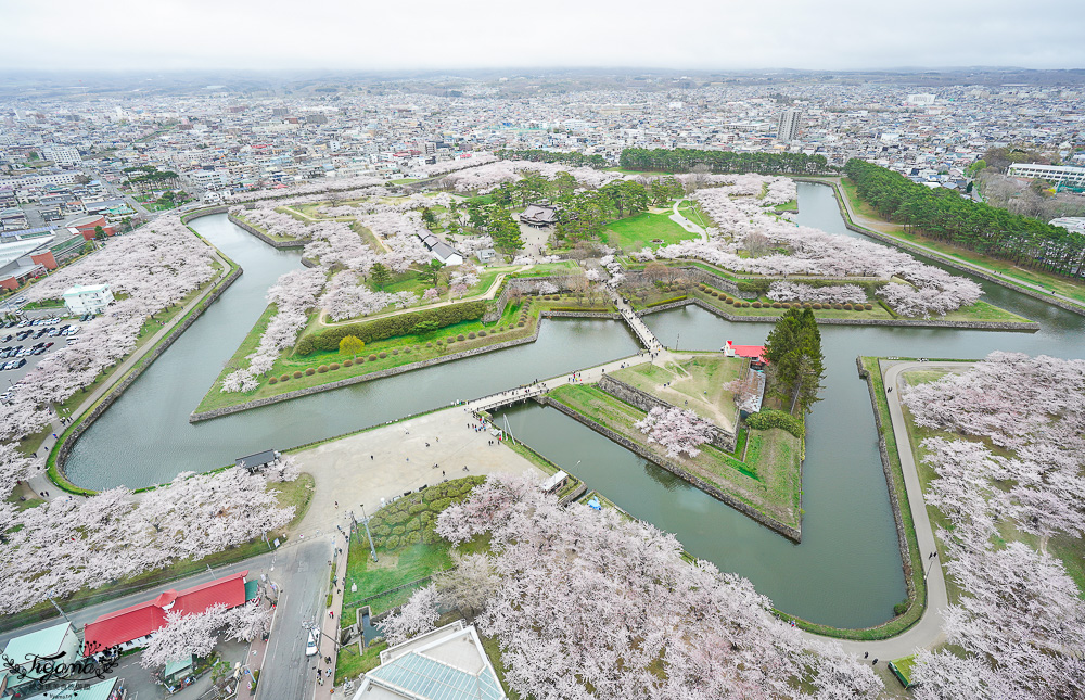 櫻花盛開的五稜郭公園，北海道函館人氣景點！！北海道賞櫻之旅~1500棵絕美櫻花林公園 @緹雅瑪 美食旅遊趣