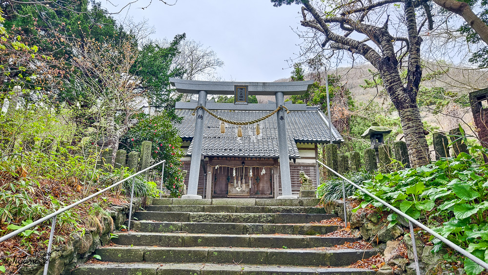 北海道函館賞櫻景點。住三吉神社：函館櫻花秘境，神社前的櫻花隧道，盡頭裡的住吉漁港 @緹雅瑪 美食旅遊趣