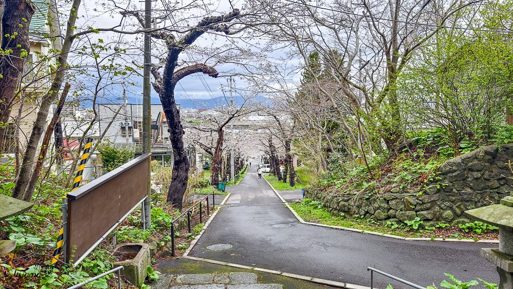 北海道函館賞櫻景點。住三吉神社：函館櫻花秘境，神社前的櫻花隧道，盡頭裡的住吉漁港 @緹雅瑪 美食旅遊趣