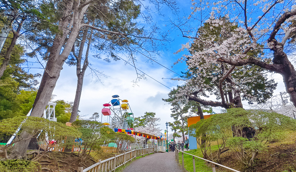 函館賞櫻景點｜函館公園：免費函館動物園(館)．函館公園兒童樂園．市立函館博物館 @緹雅瑪 美食旅遊趣