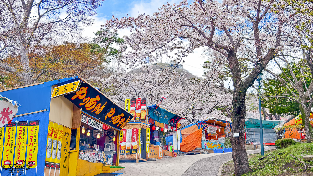 函館賞櫻景點｜函館公園：免費函館動物園(館)．函館公園兒童樂園．市立函館博物館 @緹雅瑪 美食旅遊趣