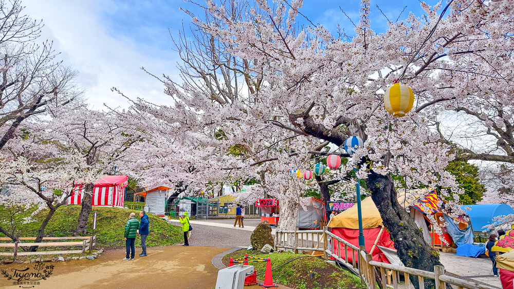 函館賞櫻景點｜函館公園：免費函館動物園(館)．函館公園兒童樂園．市立函館博物館 @緹雅瑪 美食旅遊趣