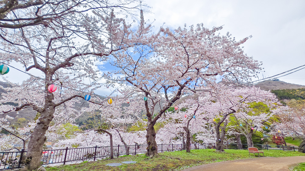 函館賞櫻景點｜函館公園：免費函館動物園(館)．函館公園兒童樂園．市立函館博物館 @緹雅瑪 美食旅遊趣