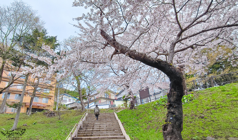 函館賞櫻景點｜函館公園：免費函館動物園(館)．函館公園兒童樂園．市立函館博物館 @緹雅瑪 美食旅遊趣