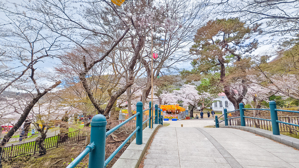 函館賞櫻景點｜函館公園：免費函館動物園(館)．函館公園兒童樂園．市立函館博物館 @緹雅瑪 美食旅遊趣