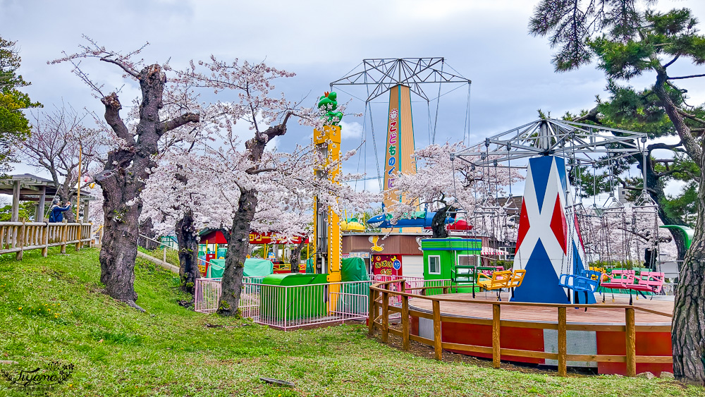 函館賞櫻景點｜函館公園：免費函館動物園(館)．函館公園兒童樂園．市立函館博物館 @緹雅瑪 美食旅遊趣