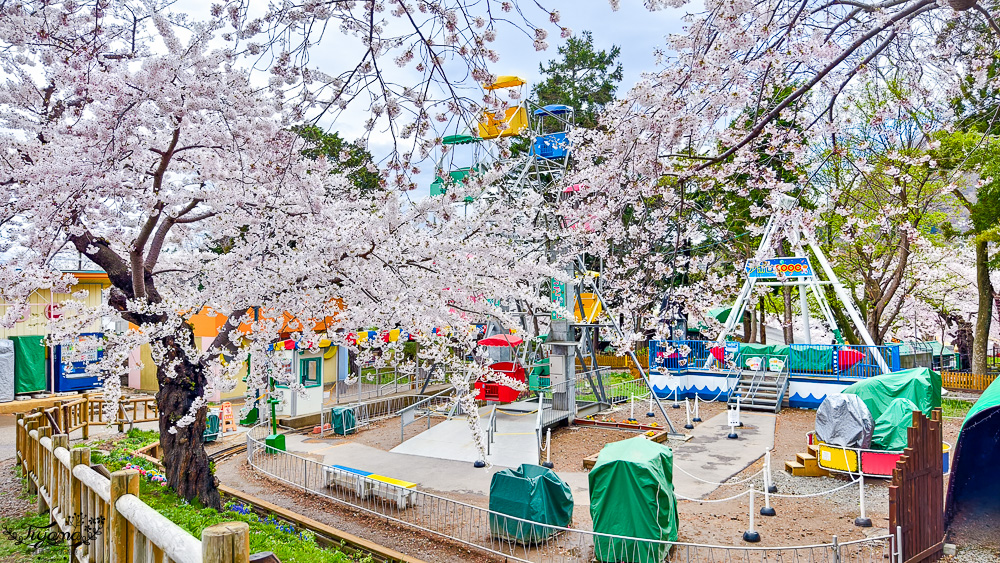 函館賞櫻景點｜函館公園：免費函館動物園(館)．函館公園兒童樂園．市立函館博物館 @緹雅瑪 美食旅遊趣