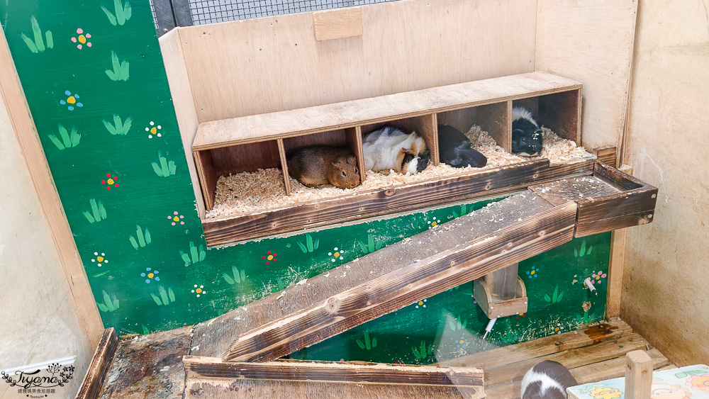 函館賞櫻景點｜函館公園：免費函館動物園(館)．函館公園兒童樂園．市立函館博物館 @緹雅瑪 美食旅遊趣