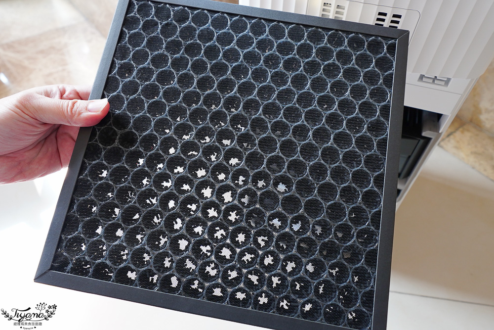 2025空氣清淨機評比！！3款人氣空氣清淨機使用心得評比，美國百朗 PETNONA小輕空淨機、Philips飛利浦 毛小奈抗敏寵物清淨機、POIEMA ONE空氣淨化器 @緹雅瑪 美食旅遊趣