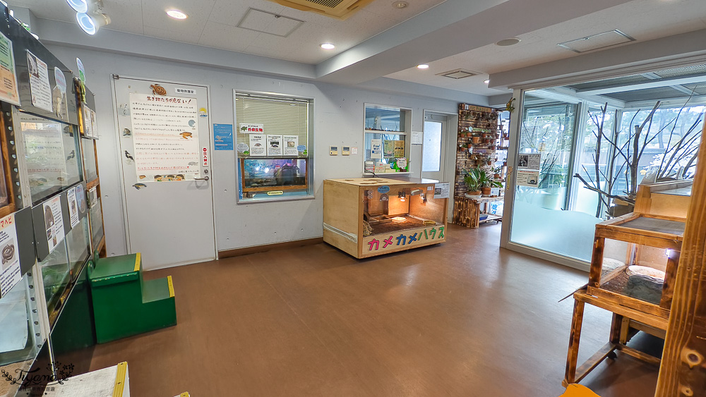 函館賞櫻景點｜函館公園：免費函館動物園(館)．函館公園兒童樂園．市立函館博物館 @緹雅瑪 美食旅遊趣