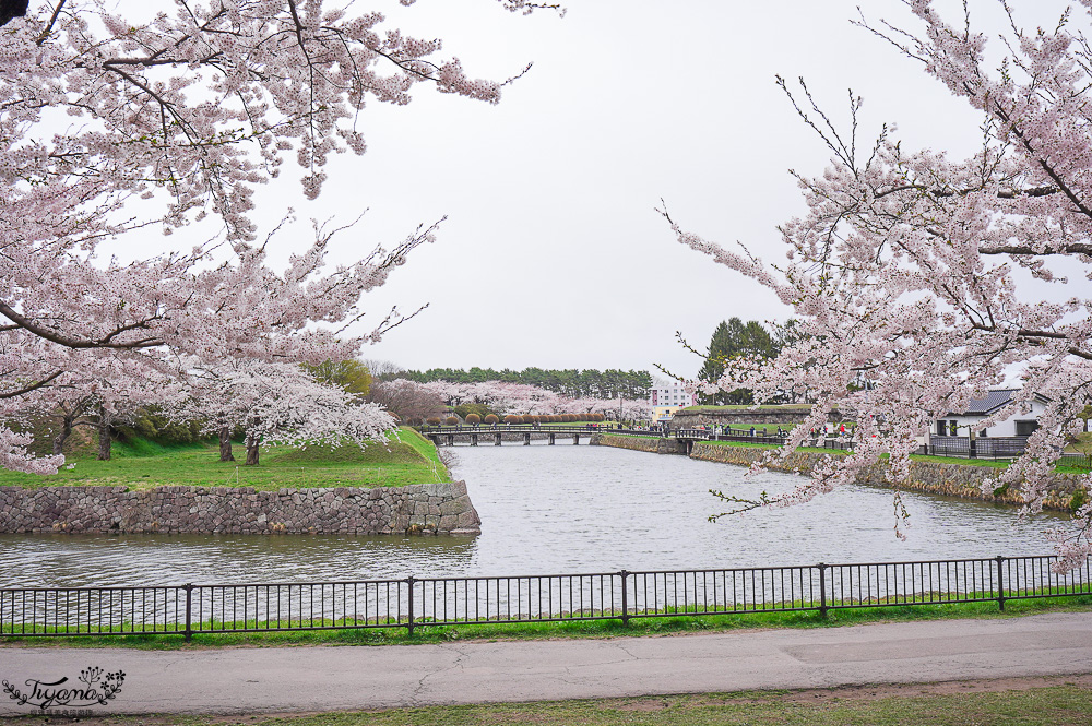 行軍版北海道函館一日遊！！函館朝市．函館元町教堂群散策．金森紅磚倉庫．五稜郭塔．五稜郭公園．六花亭．幸運小丑漢堡．成吉思汗大黑屋 @緹雅瑪 美食旅遊趣