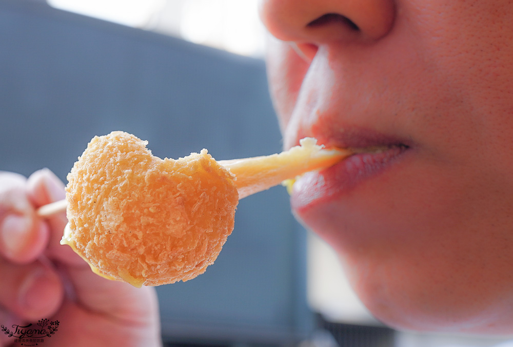 台南人氣小吃美食「酥炸紅糟肉」蓁鑫辣妹子紅糟肉，紅糟排骨酥、紅糟肉刈包、紅糟赤肉羹、蒜味洋蔥紅糟肉、和風洋蔥紅糟肉 @緹雅瑪 美食旅遊趣