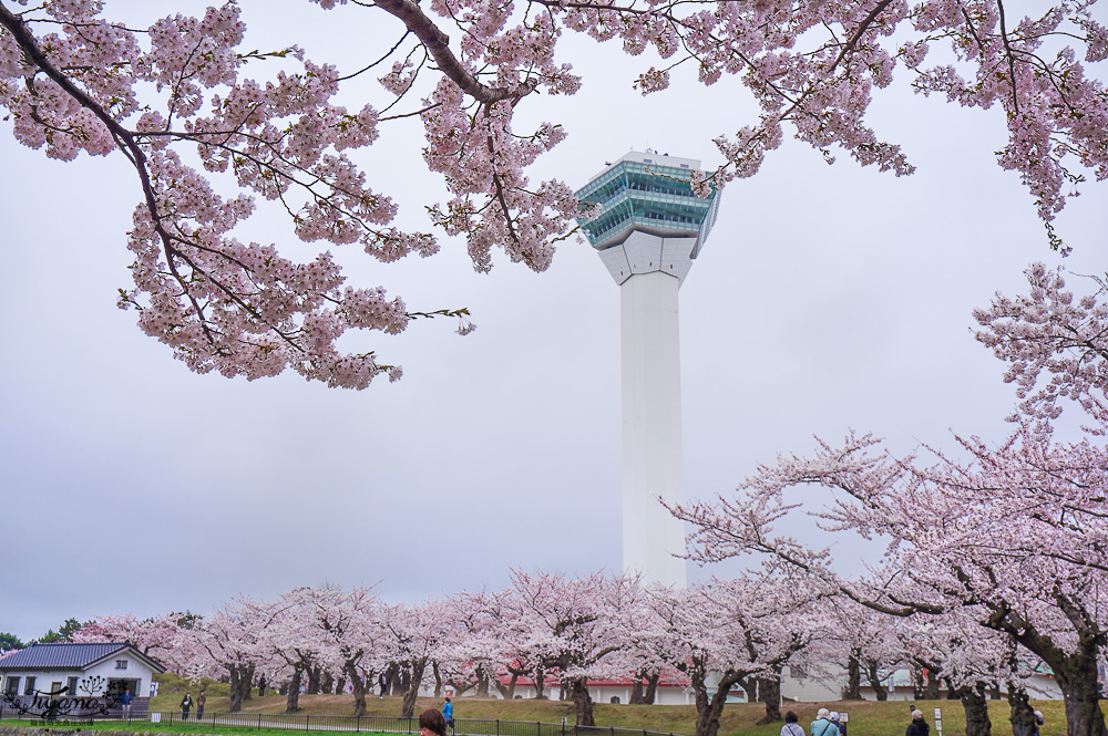 行軍版北海道函館一日遊！！函館朝市．函館元町教堂群散策．金森紅磚倉庫．五稜郭塔．五稜郭公園．六花亭．幸運小丑漢堡．成吉思汗大黑屋 @緹雅瑪 美食旅遊趣