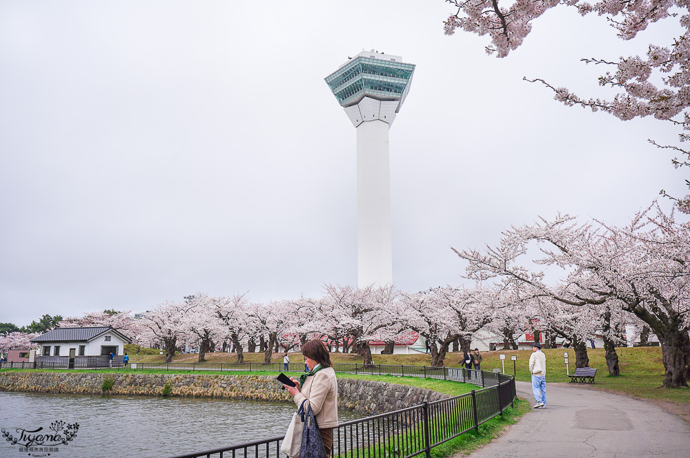 櫻花盛開的五稜郭公園，北海道函館人氣景點！！北海道賞櫻之旅~1500棵絕美櫻花林公園 @緹雅瑪 美食旅遊趣