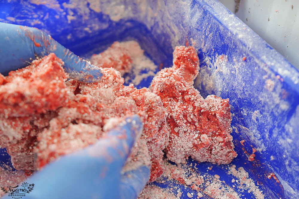 台南人氣小吃美食「酥炸紅糟肉」蓁鑫辣妹子紅糟肉，紅糟排骨酥、紅糟肉刈包、紅糟赤肉羹、蒜味洋蔥紅糟肉、和風洋蔥紅糟肉 @緹雅瑪 美食旅遊趣