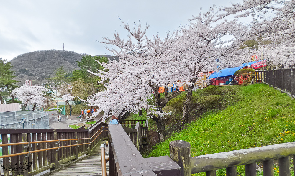 函館賞櫻景點｜函館公園：免費函館動物園(館)．函館公園兒童樂園．市立函館博物館 @緹雅瑪 美食旅遊趣
