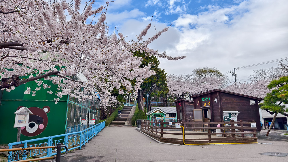 函館賞櫻景點｜函館公園：免費函館動物園(館)．函館公園兒童樂園．市立函館博物館 @緹雅瑪 美食旅遊趣