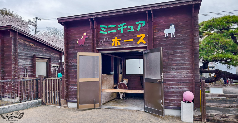 函館賞櫻景點｜函館公園：免費函館動物園(館)．函館公園兒童樂園．市立函館博物館 @緹雅瑪 美食旅遊趣