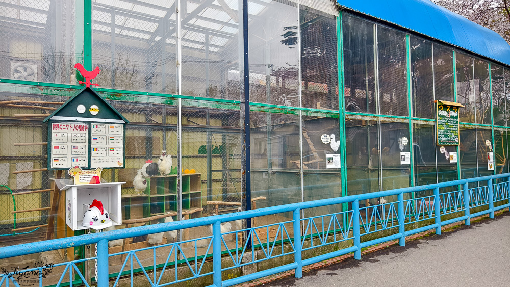 函館賞櫻景點｜函館公園：免費函館動物園(館)．函館公園兒童樂園．市立函館博物館 @緹雅瑪 美食旅遊趣