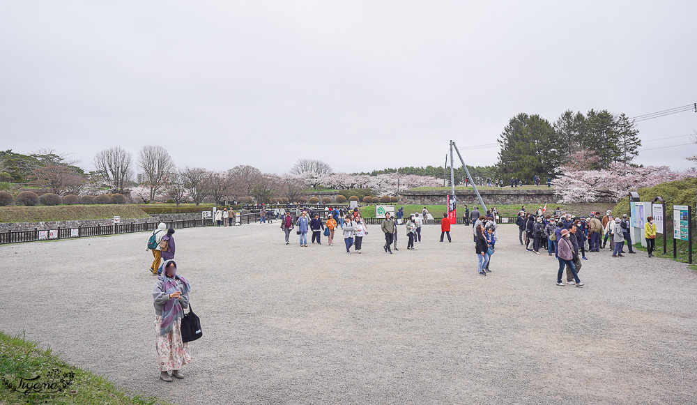 櫻花盛開的五稜郭公園，北海道函館人氣景點！！北海道賞櫻之旅~1500棵絕美櫻花林公園 @緹雅瑪 美食旅遊趣