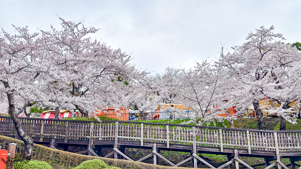 函館賞櫻景點｜函館公園：免費函館動物園(館)．函館公園兒童樂園．市立函館博物館 @緹雅瑪 美食旅遊趣