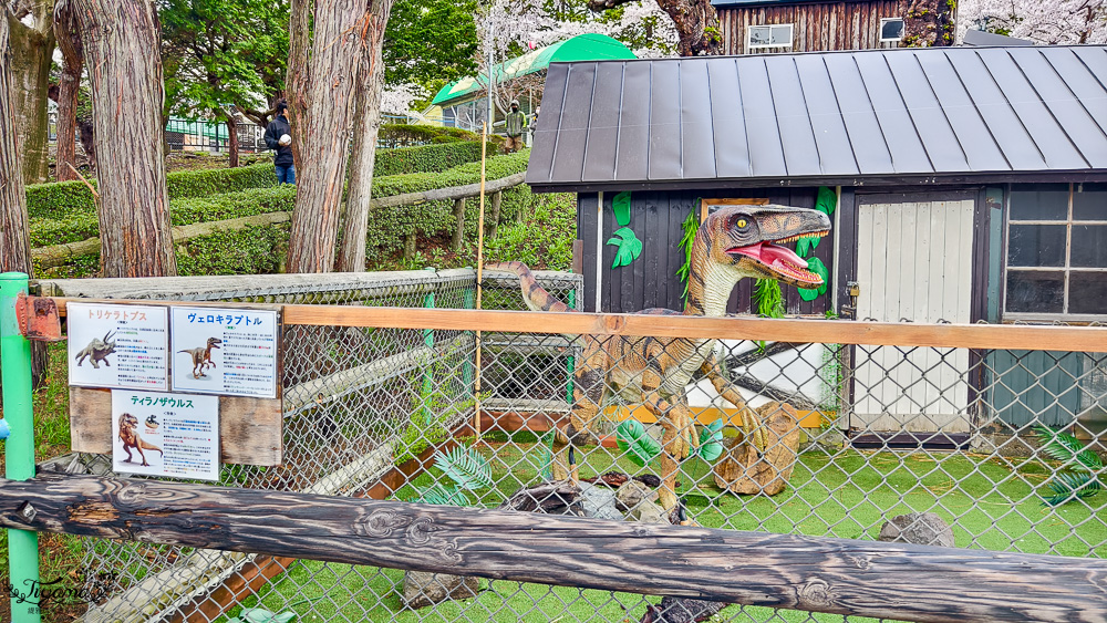 函館賞櫻景點｜函館公園：免費函館動物園(館)．函館公園兒童樂園．市立函館博物館 @緹雅瑪 美食旅遊趣