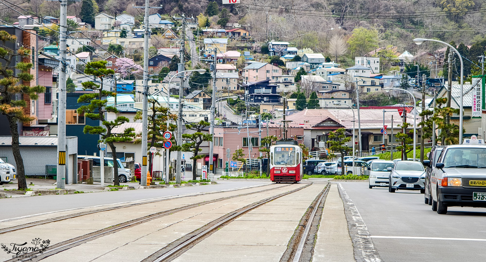 函館賞櫻景點｜函館公園：免費函館動物園(館)．函館公園兒童樂園．市立函館博物館 @緹雅瑪 美食旅遊趣