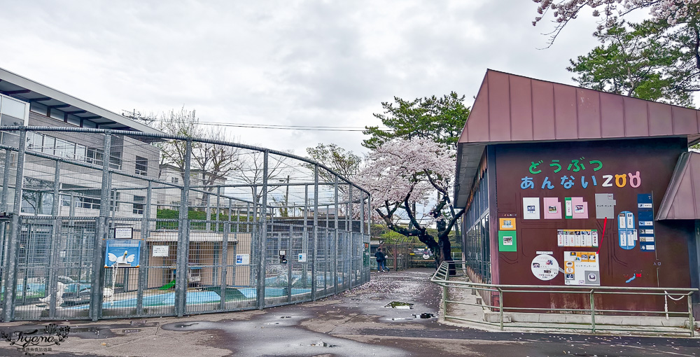 函館賞櫻景點｜函館公園：免費函館動物園(館)．函館公園兒童樂園．市立函館博物館 @緹雅瑪 美食旅遊趣