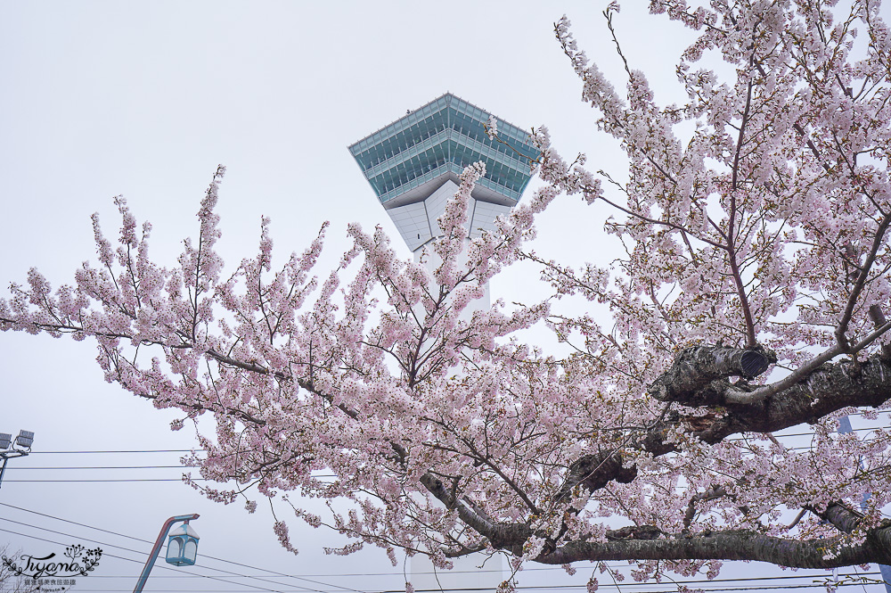 行軍版北海道函館一日遊！！函館朝市．函館元町教堂群散策．金森紅磚倉庫．五稜郭塔．五稜郭公園．六花亭．幸運小丑漢堡．成吉思汗大黑屋 @緹雅瑪 美食旅遊趣