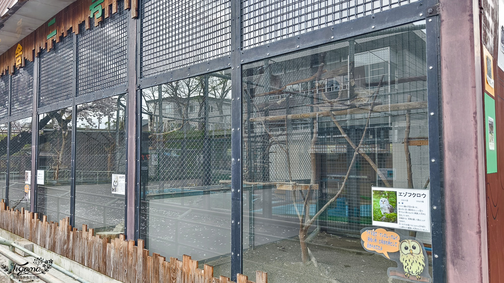 函館賞櫻景點｜函館公園：免費函館動物園(館)．函館公園兒童樂園．市立函館博物館 @緹雅瑪 美食旅遊趣