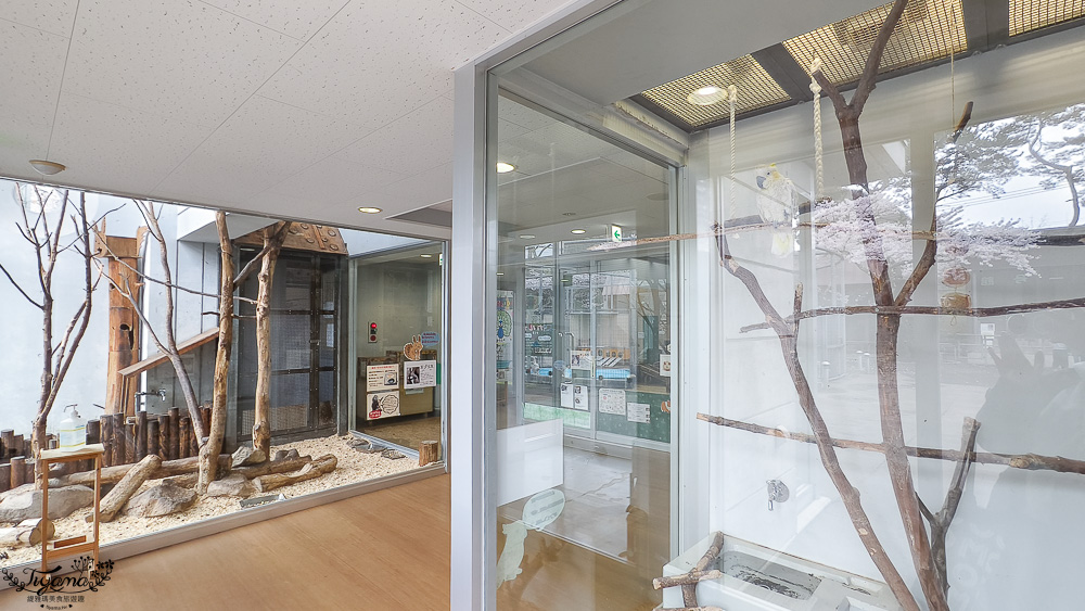 函館賞櫻景點｜函館公園：免費函館動物園(館)．函館公園兒童樂園．市立函館博物館 @緹雅瑪 美食旅遊趣