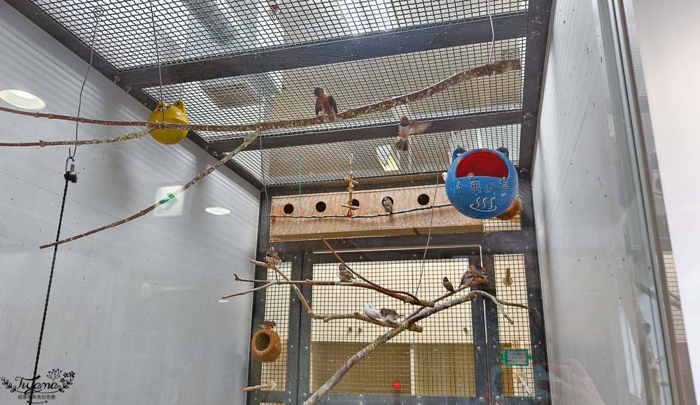 函館賞櫻景點｜函館公園：免費函館動物園(館)．函館公園兒童樂園．市立函館博物館 @緹雅瑪 美食旅遊趣