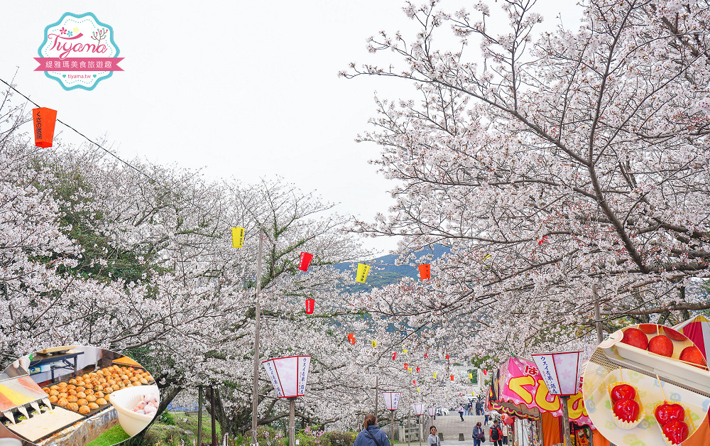 長崎景點．長崎櫻花景點「橘公園」，免費賞櫻景點！！櫻花下吃市集美食、長崎蛋糕、品日本清酒 @緹雅瑪 美食旅遊趣