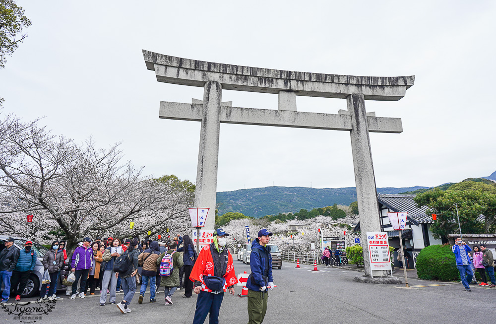 長崎景點．長崎櫻花景點「橘公園」，免費賞櫻景點！！櫻花下吃市集美食、長崎蛋糕、品日本清酒 @緹雅瑪 美食旅遊趣