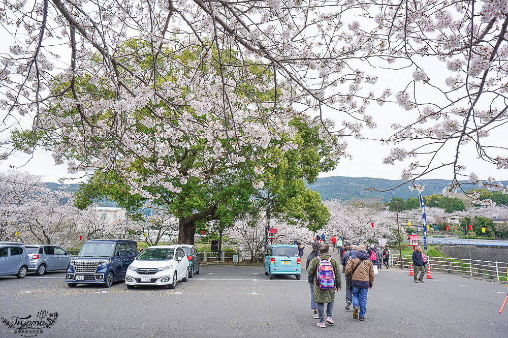 長崎景點．長崎櫻花景點「橘公園」，免費賞櫻景點！！櫻花下吃市集美食、長崎蛋糕、品日本清酒 @緹雅瑪 美食旅遊趣