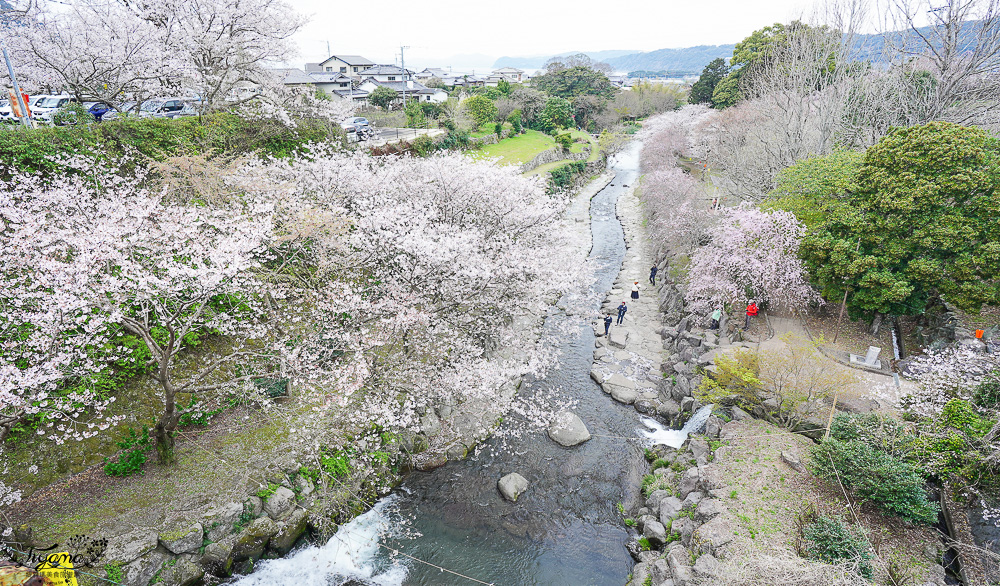 長崎景點．長崎櫻花景點「橘公園」，免費賞櫻景點！！櫻花下吃市集美食、長崎蛋糕、品日本清酒 @緹雅瑪 美食旅遊趣