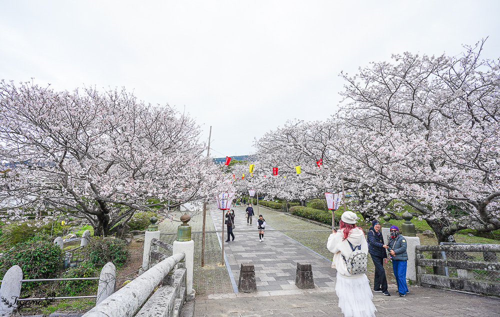 長崎景點．長崎櫻花景點「橘公園」，免費賞櫻景點！！櫻花下吃市集美食、長崎蛋糕、品日本清酒 @緹雅瑪 美食旅遊趣