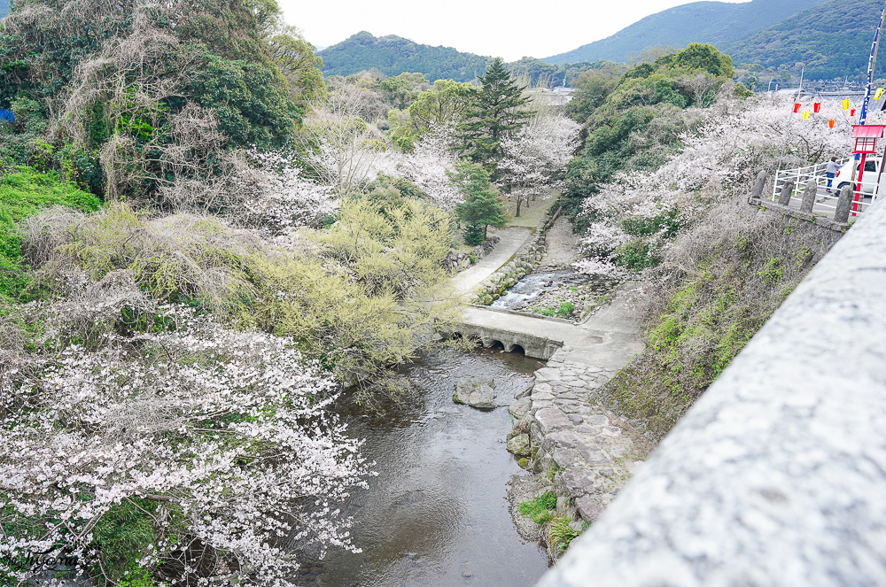長崎景點．長崎櫻花景點「橘公園」，免費賞櫻景點！！櫻花下吃市集美食、長崎蛋糕、品日本清酒 @緹雅瑪 美食旅遊趣