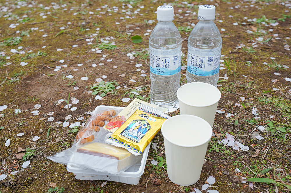 長崎景點．長崎櫻花景點「橘公園」，免費賞櫻景點！！櫻花下吃市集美食、長崎蛋糕、品日本清酒 @緹雅瑪 美食旅遊趣