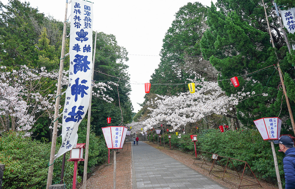 長崎景點．長崎櫻花景點「橘公園」，免費賞櫻景點！！櫻花下吃市集美食、長崎蛋糕、品日本清酒 @緹雅瑪 美食旅遊趣