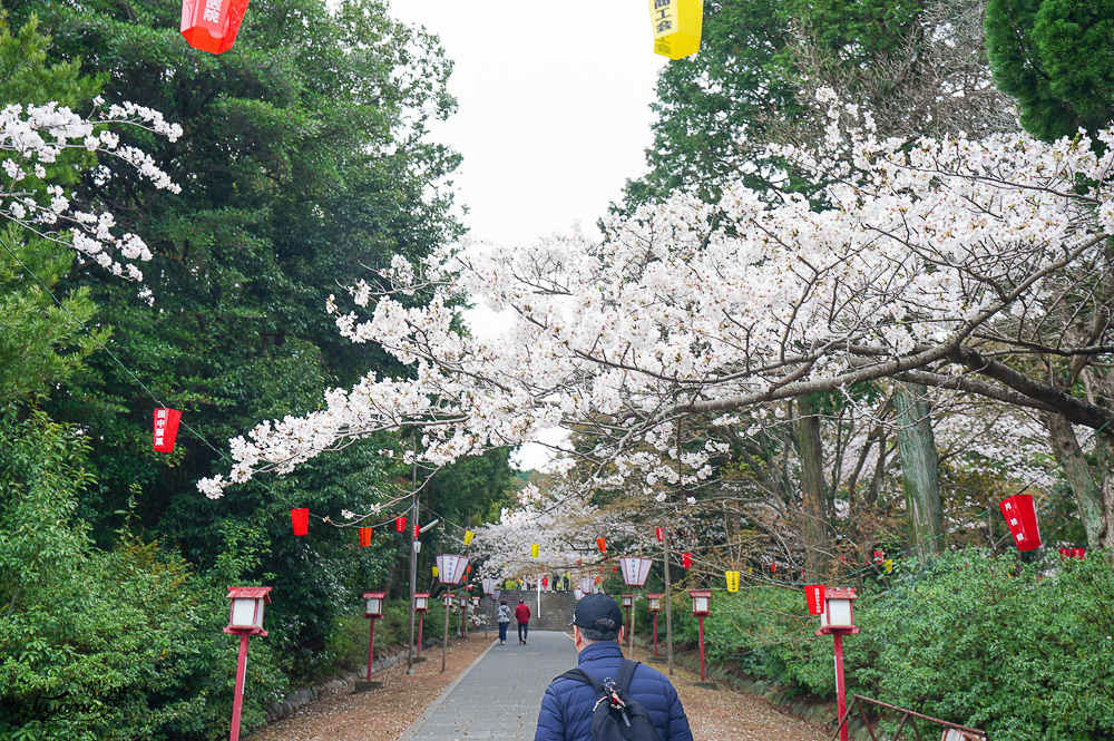 長崎景點．長崎櫻花景點「橘公園」，免費賞櫻景點！！櫻花下吃市集美食、長崎蛋糕、品日本清酒 @緹雅瑪 美食旅遊趣