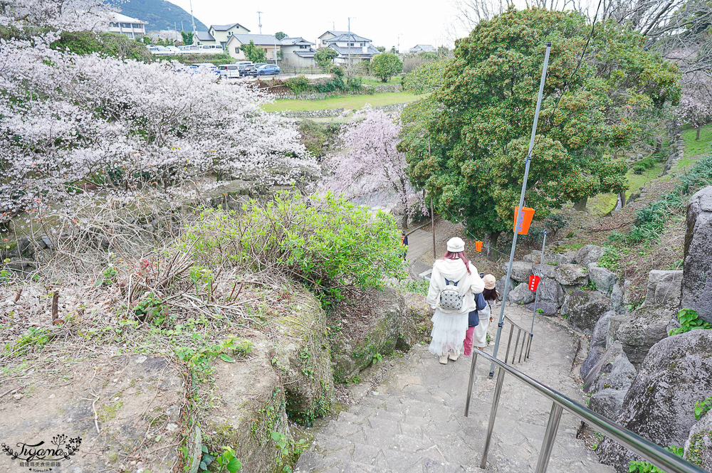 長崎景點．長崎櫻花景點「橘公園」，免費賞櫻景點！！櫻花下吃市集美食、長崎蛋糕、品日本清酒 @緹雅瑪 美食旅遊趣
